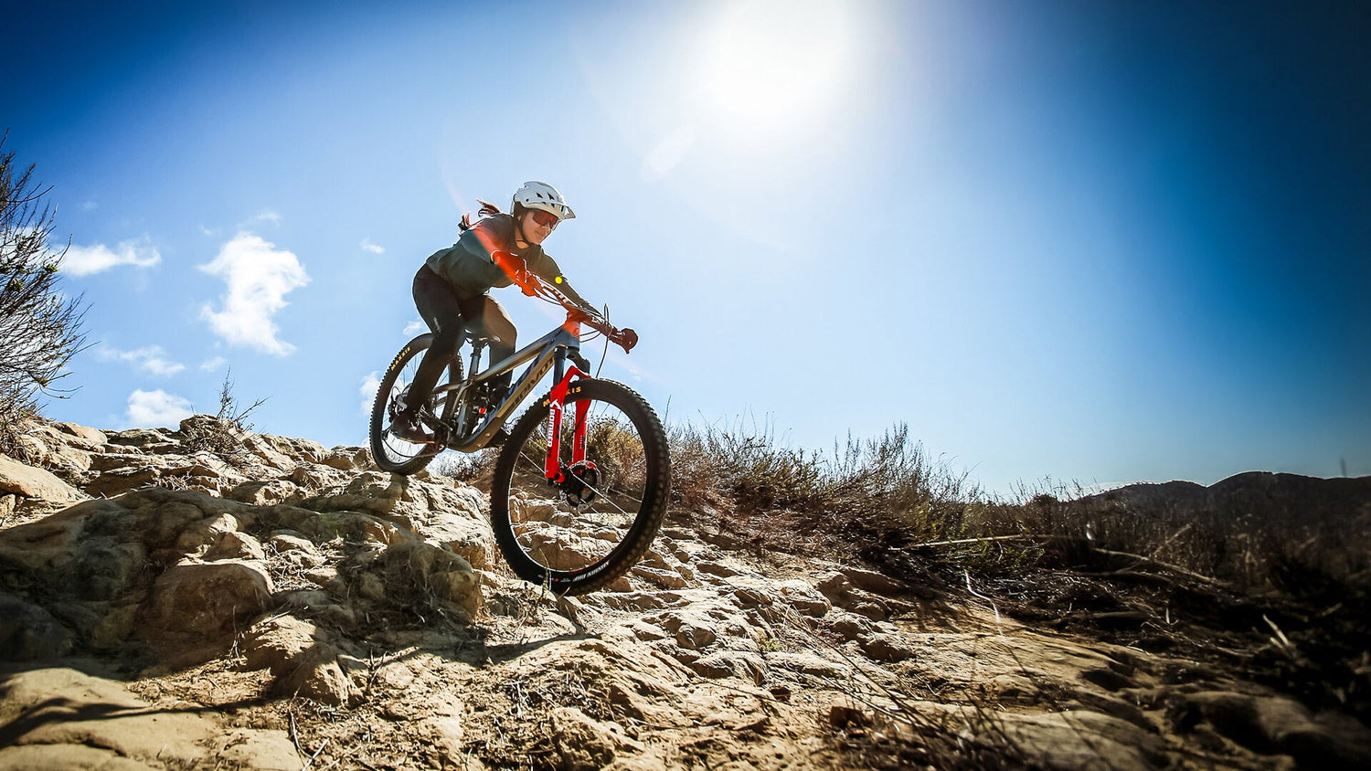 Bike Womens New Arrivals
