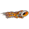 Metal Sign Flaming Eyeball Gray